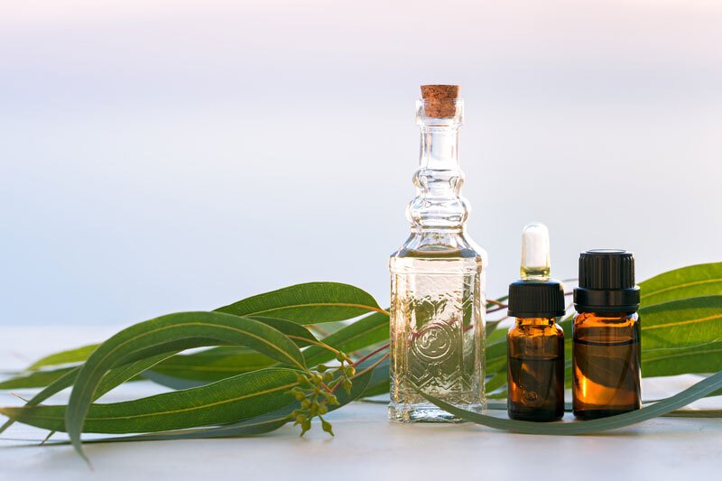 Eucalyptus Essential Oil