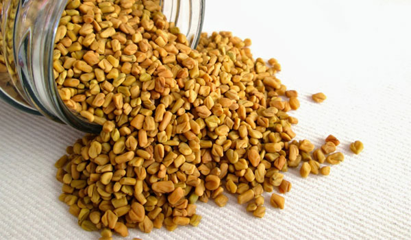 Fenugreek seeds