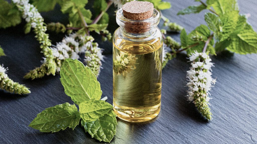 Peppermint oil 