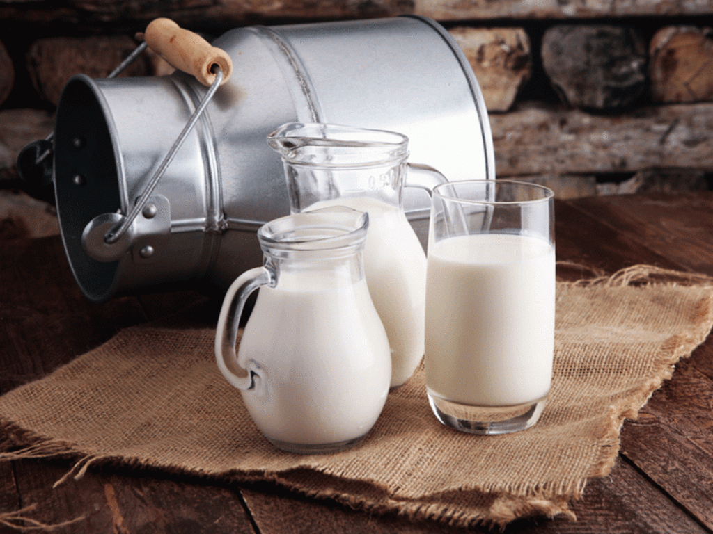 amazing benefits of goat milk: boost immunity