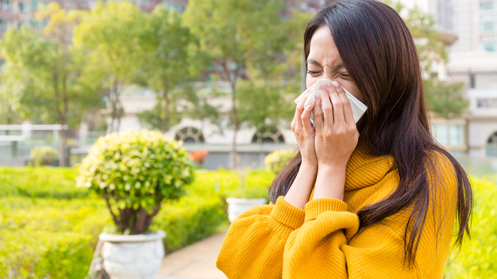 seasonal allergies blog back pain colorado pain care